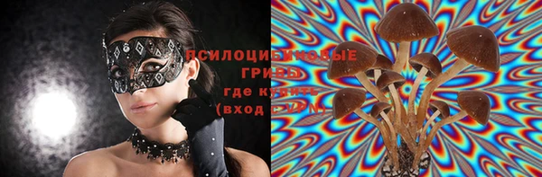 крисы Абинск